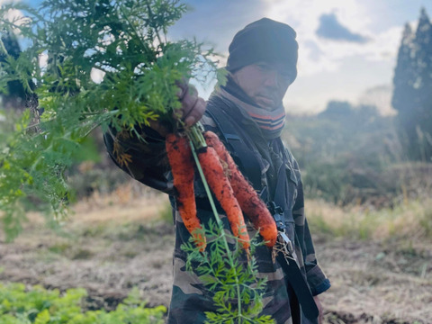 限定販売✨菊池の平飼い有精卵🥚
あっさり美味しい！！（２０個入り）✨