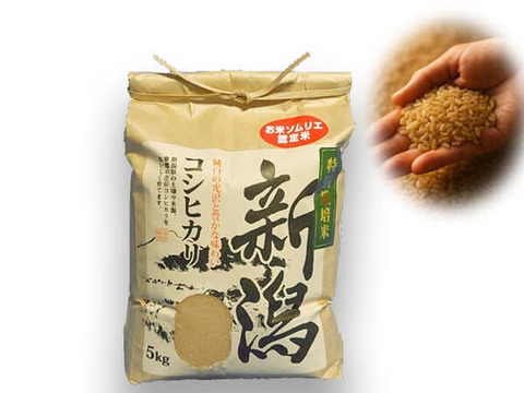 🎯新米🌾味に自信あり玄米5kg❇️令和7年お米ソムリエが作る🌾新潟県五泉市四ヶ村産🌾特栽米コシヒカリ🍚🙋なんと😲❇️4600円❇️【翌日発送 毎日便 対応】