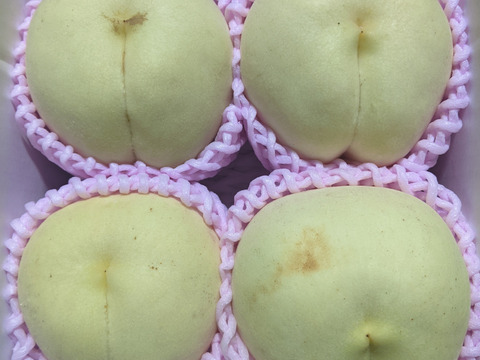 訳あり名月桃朝どり直送便1.5kg(4〜6玉入り)