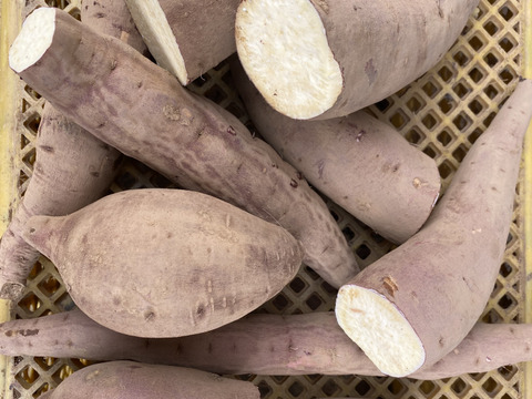 極甘❗️＆上品な甘さの「はねだし」 【紅はるか】【シルク】19.8kg