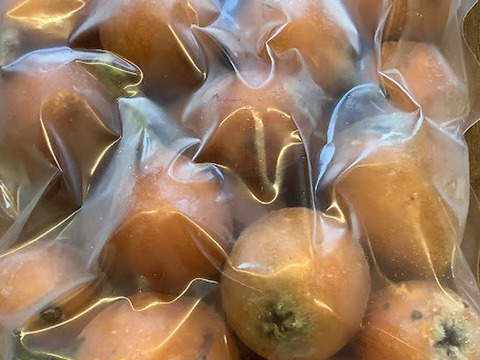 訳あり特価！【まるごと冷凍 加工用びわ約2㎏】栽培期間中 農薬不使用！