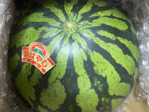人気No. 1“特選”大玉スイカ🍉3L （8〜9kg）   1玉入り　一つ一つ厳選しお届けします👨🏽‍🌾完売御礼