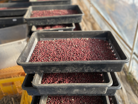 【北海道産】農薬化学肥料･除草剤不使用🫘小豆🫘大納言400g☺️メール便