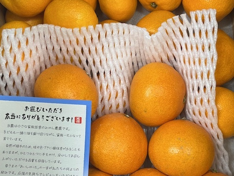 まどんな（ご家庭用・２㎏）+夕やけみかん（ご家庭用・２㎏）