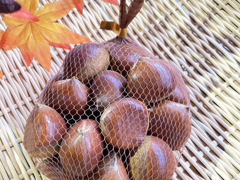 【ゲン担ぎ福袋】数量30個限定！！熟成させた糖度30度越えのほくほくしっとり焼き栗300ｇ＆大粒冷凍栗500ｇのセット