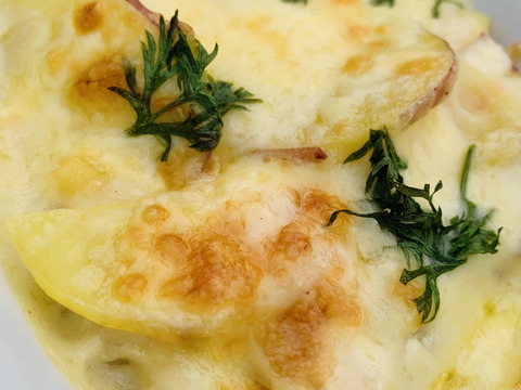 高野山麓精進野菜　農薬化学肥料不使用　訳あり！カラフルじゃがいも詰め合わせ