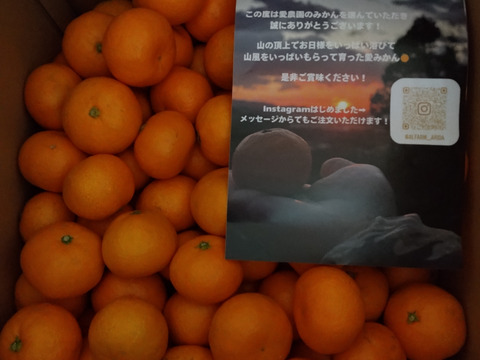 ありがとうSALE！食べ過ぎ注意！山畑の有田みかん 10kg