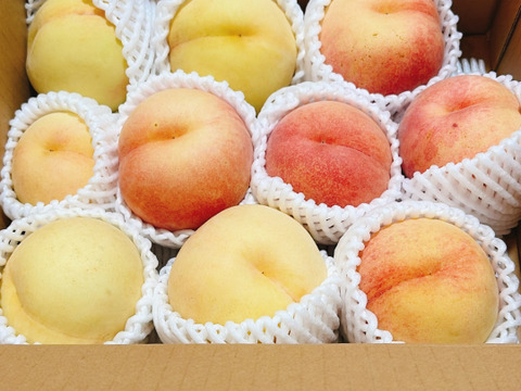 甘露な桃　桃水(白桃)　2kg　ご家庭用　山形県産　6〜13玉入