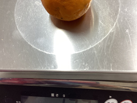 最終ちょこっとセールこつぶ！はるみ1.5kg（6－8玉）で石済み段々畑育ちはるみ見た目は写真のよう家庭用　いくらのように弾けるプチプチ食感　ミカン好きはぜひ調べて！
