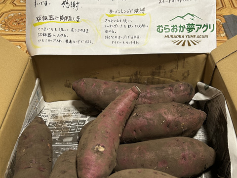 【１人１回だけの特別品】紅はるか2ｋｇ(箱入)　10月以降～発送予定！　熟成期間１ヶ月超！　さつまいも！　栽培期間中農薬不使用！
【敬老の日】
