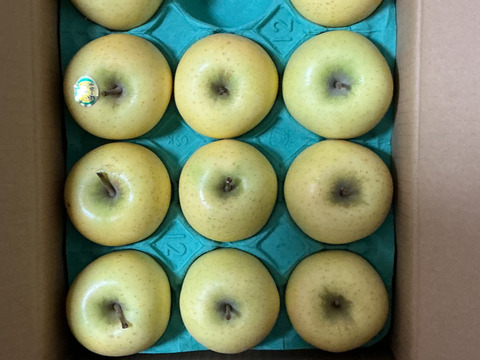 輝くイエロー！パリッとジューシー、シナノゴールド！（9個から13個）