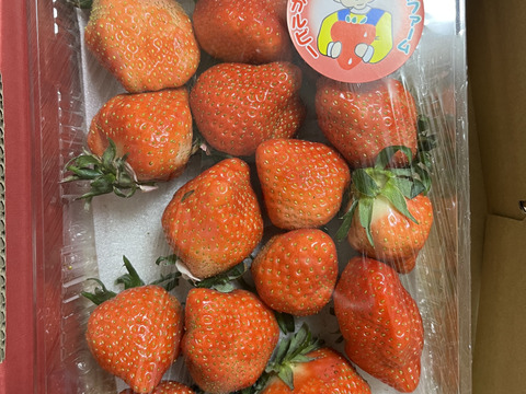 爽やかな酸味とパンチのある味【あすかルビー】500g【2025年12月下旬発送先行予約】【クリスマス、お歳暮、お年賀】