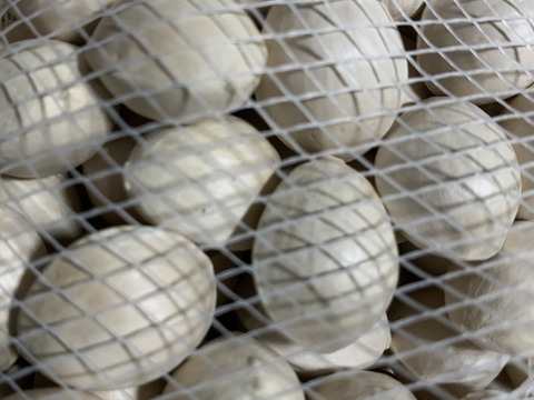 葉付き大根2kgと銀杏1kgのセット