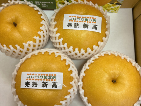 糖度ピークです‼️【大きさにも美味しさにもびっくり‼️】新高梨(2-4個入)贈答用約2.5kg✨️コロコロ梨工房の自信作‼️甘くてとってもフルーティー✨️鮮度を保つ為クール便で発送します🚚
