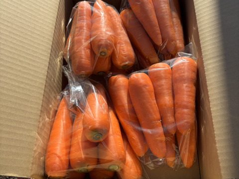 農薬・化学肥料不使用 人参 にんじん (甘美人)4kg 埼玉県認証特別栽培