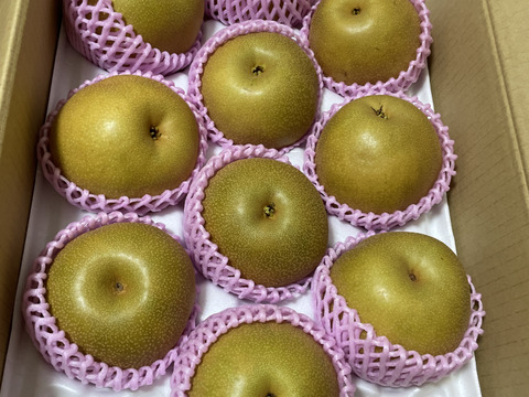 熊本県産 豊水梨 約10キロ 豊水梨【熊本県産】10〜36玉 約10kg 果物 くだもの 期間限定