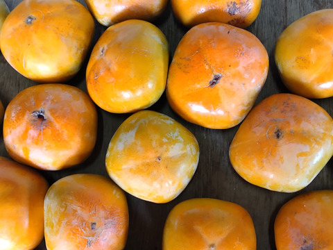 自家用たねなし柿 （格外・サイズ混合）4kg