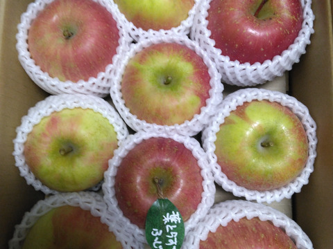 【冬ギフト】 🍎レビュー数1700件突破！！《家庭用》青森完熟葉とらずふじ８〜１２玉(約３kg)🍎ID119812