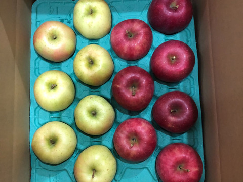 【福袋】青森県産 約５キロ×２箱 季節の樹上完熟りんご詰め合わせセット【家庭用厳選品】