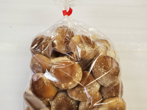 新鮮！用途多彩！生しいたけ（菌床）　500g