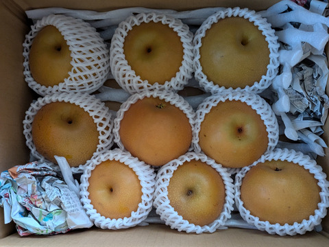 最終です！長野県生まれの梨。第三弾「南水」約３㎏　甘くてジューシーシャリっと食感です！一度お試し下さい。おすすめ