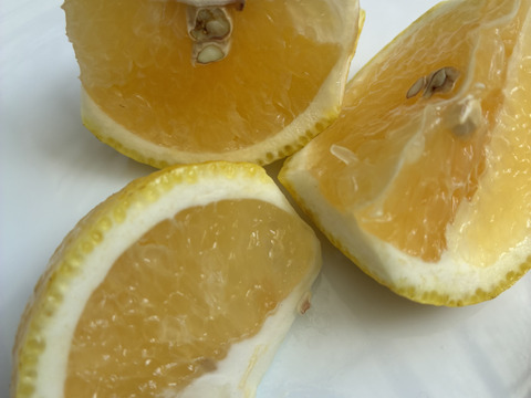 スッキリ甘い！はるか【ご家庭用4kg・約20個】