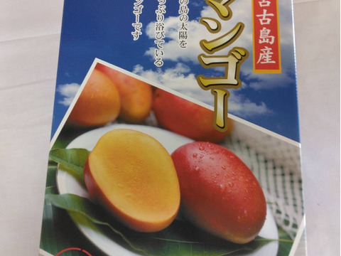 農家直送】宮古島産 完熟アップルマンゴー 贈答用約2kg（4〜6玉