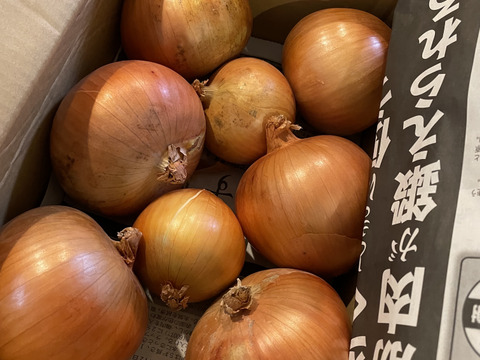 大地の恵み！淡路島完熟玉ねぎ🧅【シャーロットオニオン　輝玉（キラ玉✨）】(2kg)