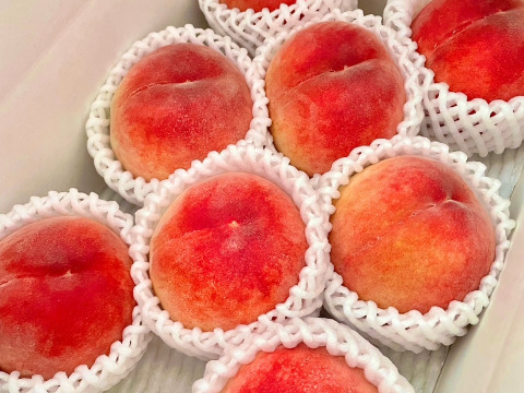 福島県オリジナル品種【ふくあかり】2㎏（6玉～9玉）