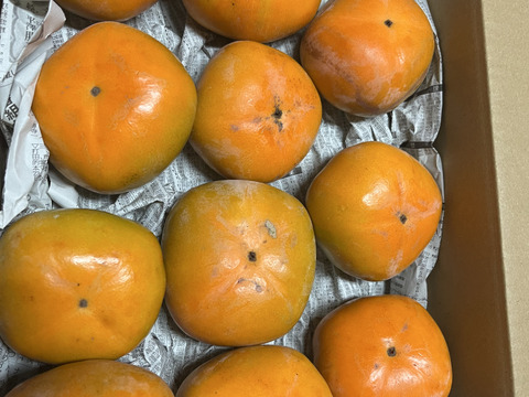 訳あり5kg 自慢の甘さ◎どんどん出荷中◎【綺麗だけど訳あり商品】
サクッとねっとり食感混在　
橋本の柿ご家庭用5キロ約20コ入り