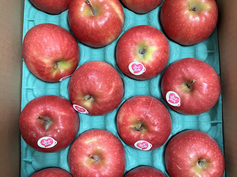 バレンタインにもオススメ♪今が美味しい！『ピンクレディりんご 』お試し2.5kg〜3kg