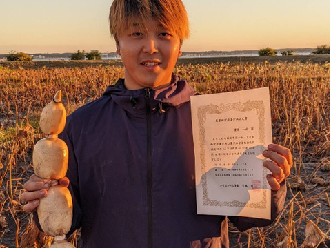 【新鮮】茨城県かすみがうら産朝採れうまかっぺれんこん（4kg)