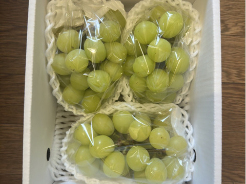 シャインマスカット 訳あり(約1kg)2~4房