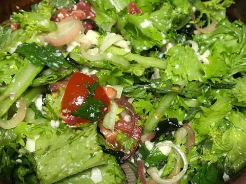 【夏ギフト】ピリッとスッキリ！わさび菜1k！～農薬/化学肥料・不使用