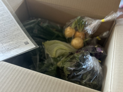 【今が旬！】シェフ御用達！医療人が栄養価にこだわった【旬の機能性野菜9~10品目セット】