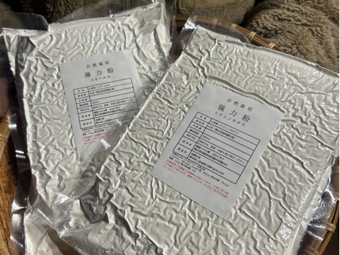 香り豊か！【自然栽培】パン用小麦粉『ミナミノカオリ』（800g）