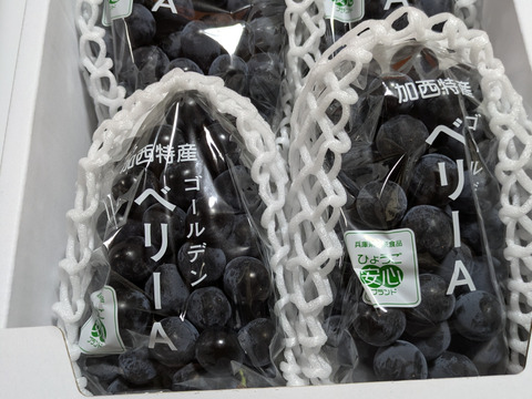 最終価格！規格外・家庭用【低農薬栽培】あふれる果汁で濃厚な甘み！加西ゴールデンベリーA（２kg前後）