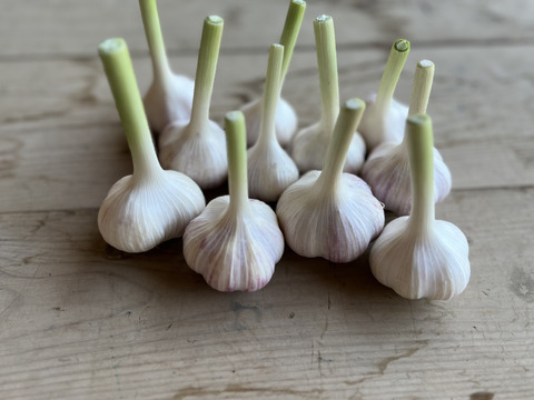 【今が旬】【有機JAS】オーガニックバラ生にんにく