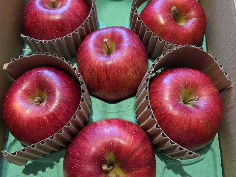 【シナノスイート】（2kg・6～9個入り）シャリ甘・ジューシーお得な家庭用