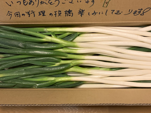 外身より中身に気づくは、粋の極み！規格外　Mサイズ（40本）