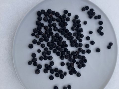 天然ナツハゼ　１キロ　京都産 プロトン冷凍