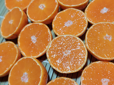 有田みかん【小粒小玉】10kg（箱込）