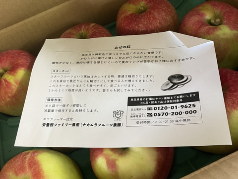 【新グンマーリンゴ】おぜの紅  3キロ箱 6玉〜15玉サイズ商品ID162360 長野県 信州 安曇野 リンゴ 幻 幻のリンゴ 予約 希少 旬