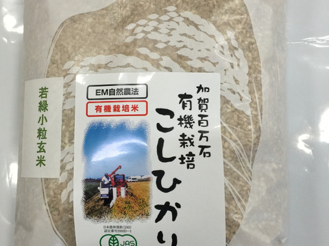 令和5年産 有機栽培 若玄米 緑玄米 コシヒカリ 2kg