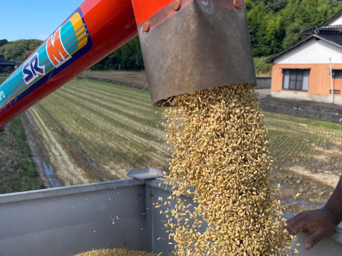 【令和7年新米】つやつや❗️もっちもち‼️福岡のお米 新米夢つくし（2kg)