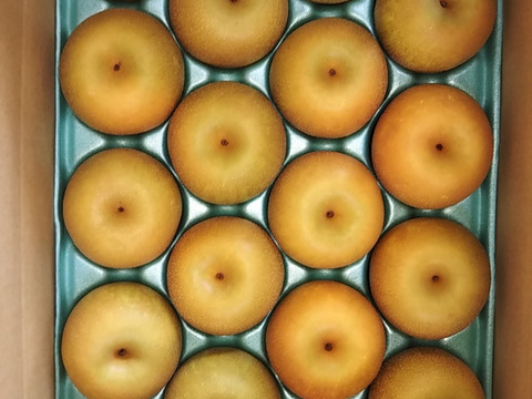 幸水呉羽梨18玉