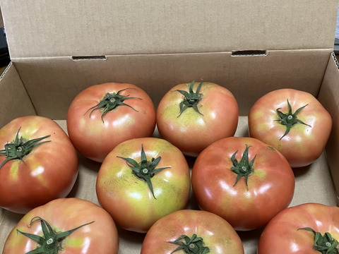 (Sｾｯﾄ）夏の贅沢！清涼感あふれる王道トマト2kg