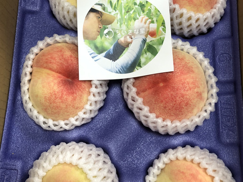 旨みと甘さが贅沢に詰まった桃の代表品種『白鳳』amenimomakezu 優品規格