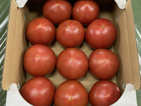 〖信越地方までの方限定〗地元で人気の美味しい大玉トマト(2kg〜3kg)