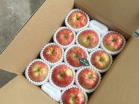 【人気品種】サンジョナゴールド🍎約3キロ 8〜11玉《家庭用》ID164802